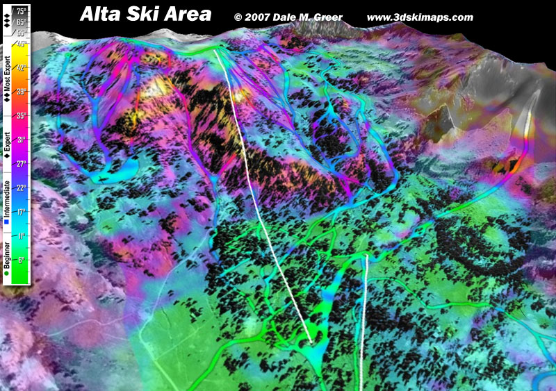 Image of Alta Ski Area : East Alta 3d Ski Map