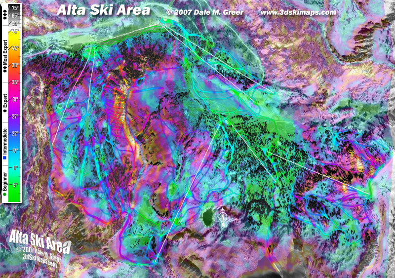 Image of Alta Ski Area : Overhead 3d Ski Map
