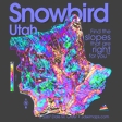 Snowbird 3d Ski Maps T-Shirt